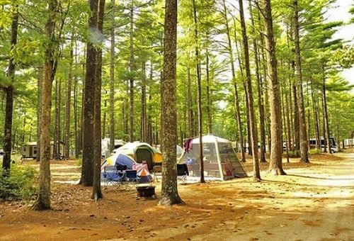 Gateway To Cape Cod Rv Resort Rochester Exterior foto